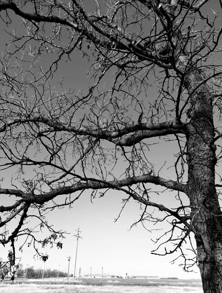 Photograph by Остапчук Ольга