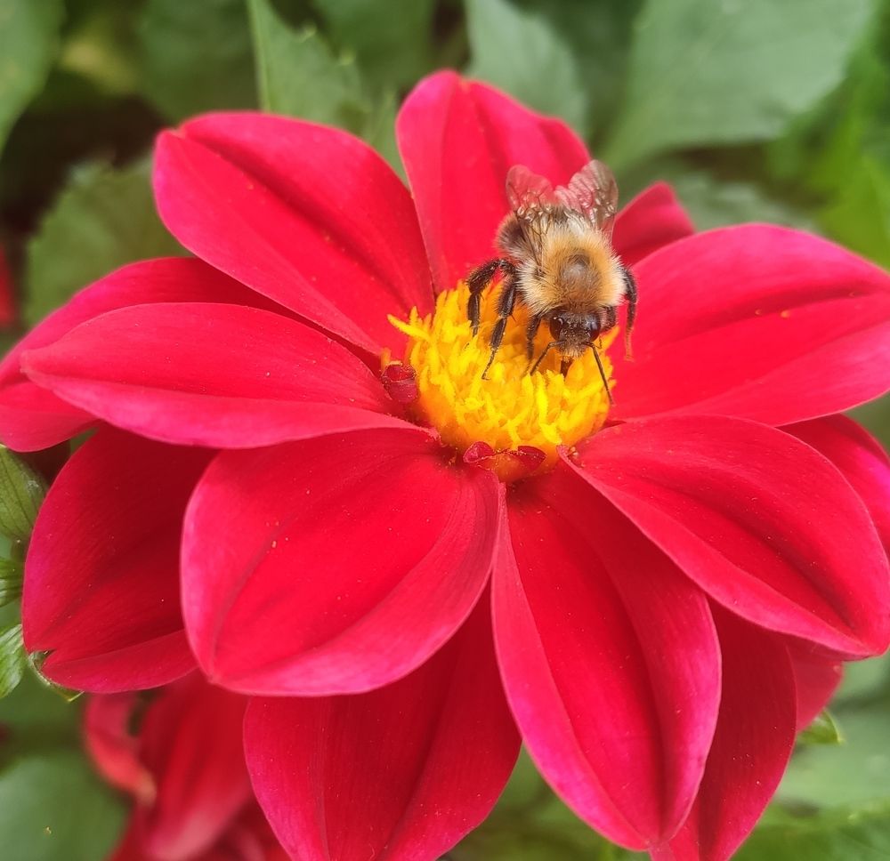 Photograph by Natalia Persidskaia