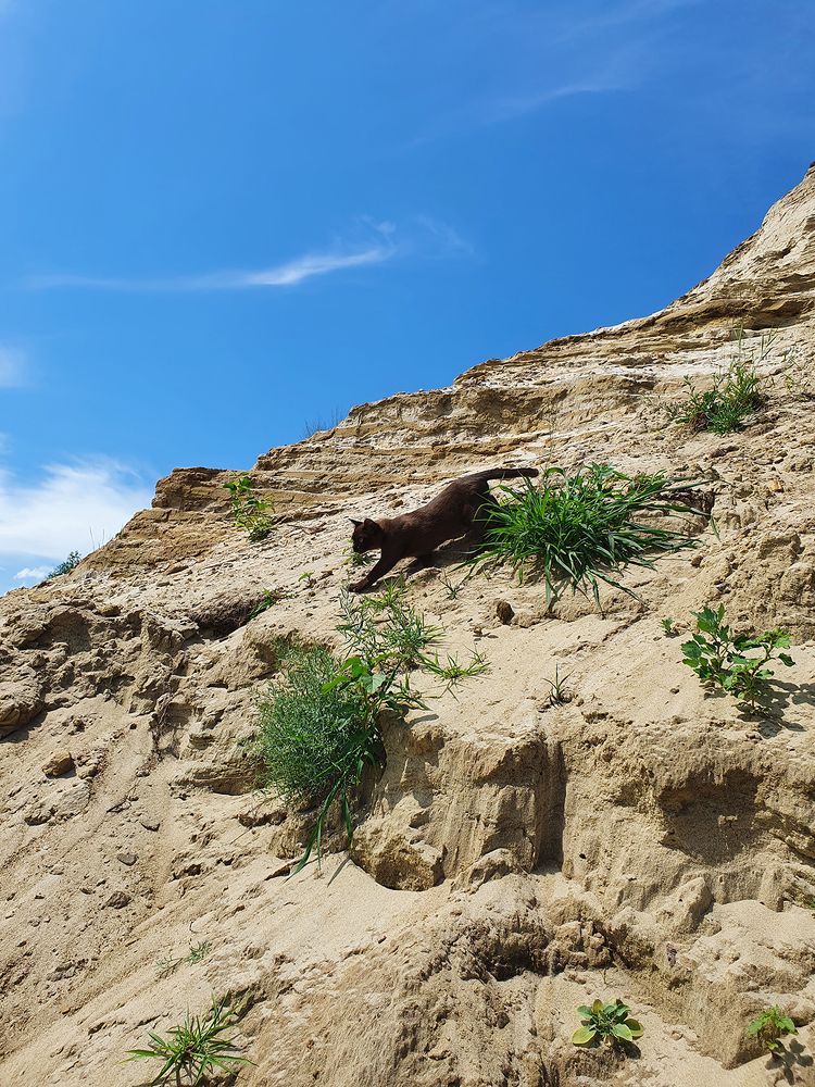 Фотография автора Надежда Лисицына