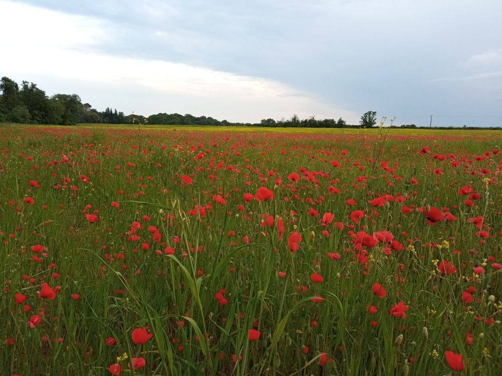 Photograph by yvan teule