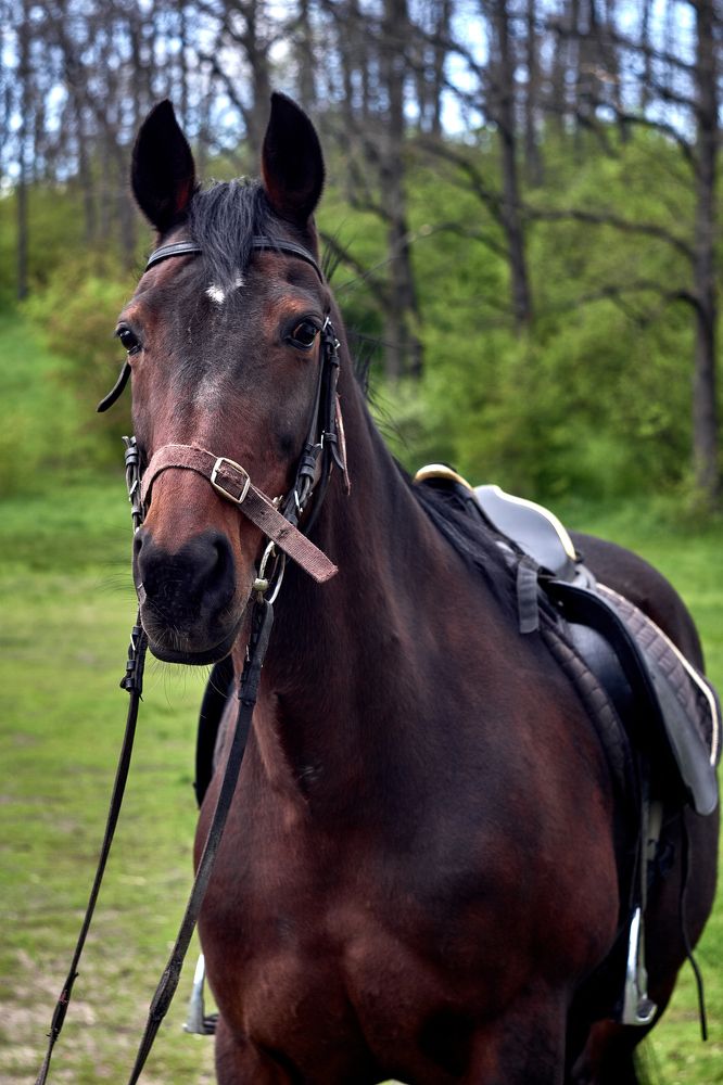 Фотография автора Siergiejevicz Mihail