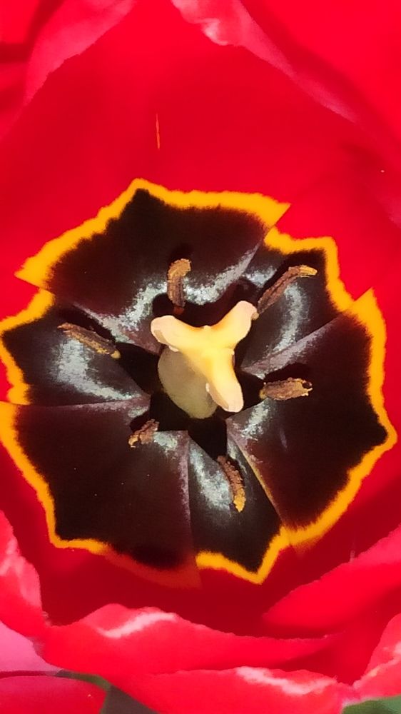 Photograph by Natalia Persidskaia