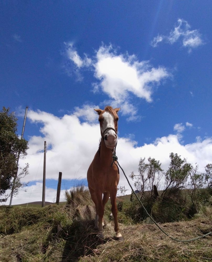 Photograph by Genesis Vivas