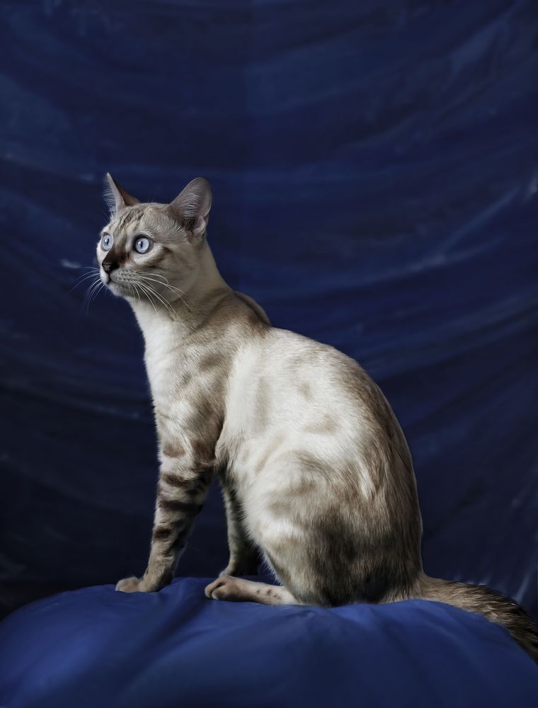 Photograph by юлия некрасова