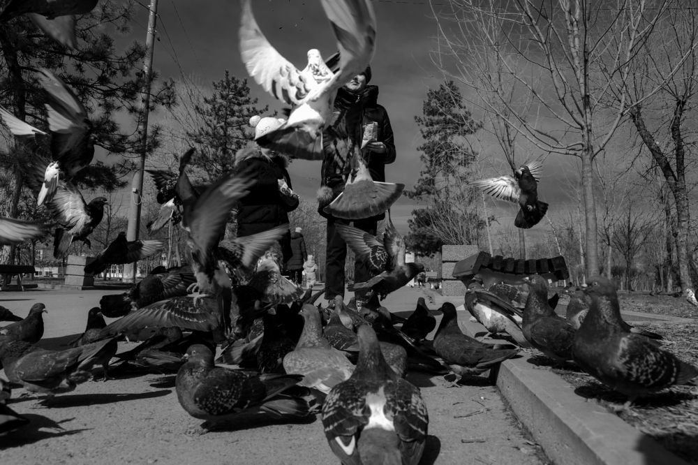 Photograph by Александр Пиленгас