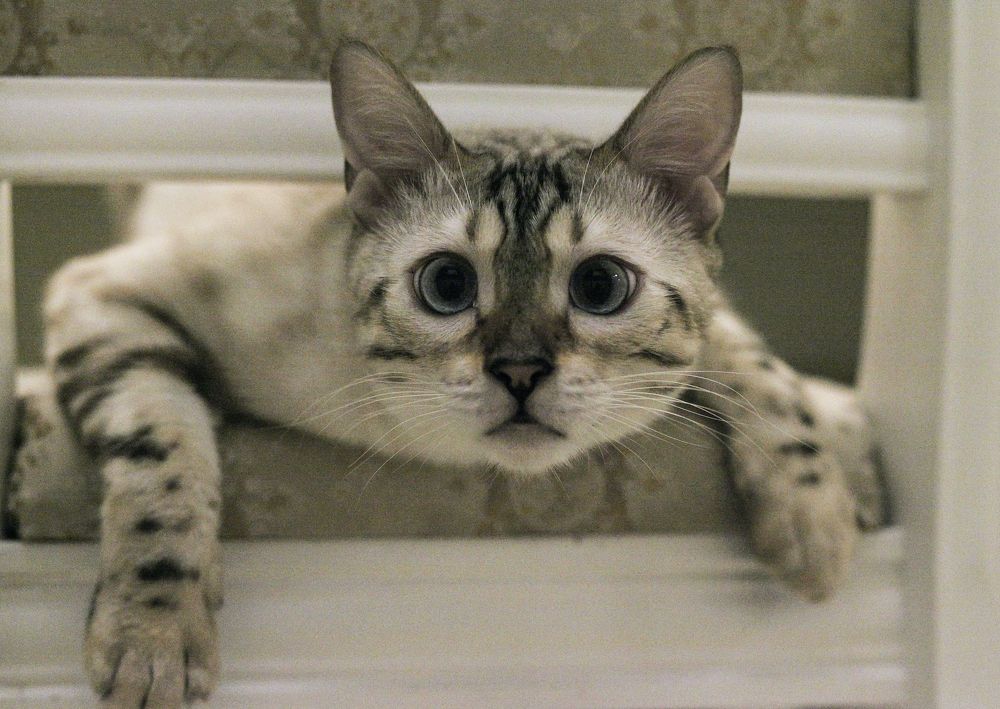 Photograph by юлия некрасова