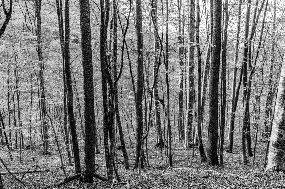 Photograph by Александр Пиленгас