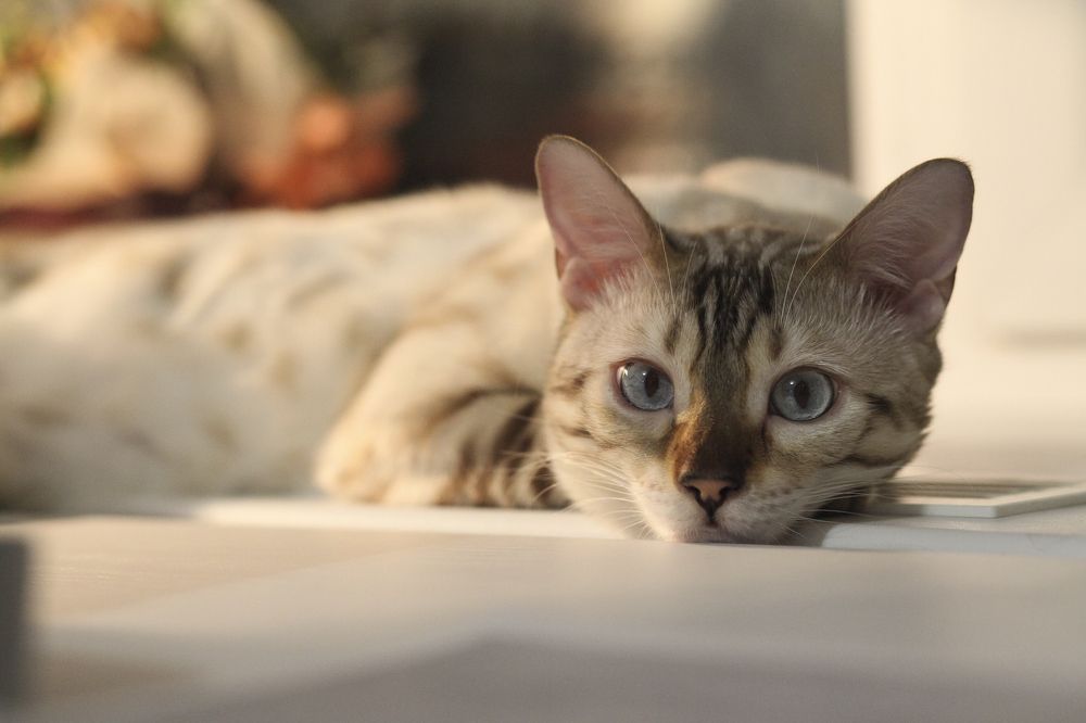 Photograph by юлия некрасова