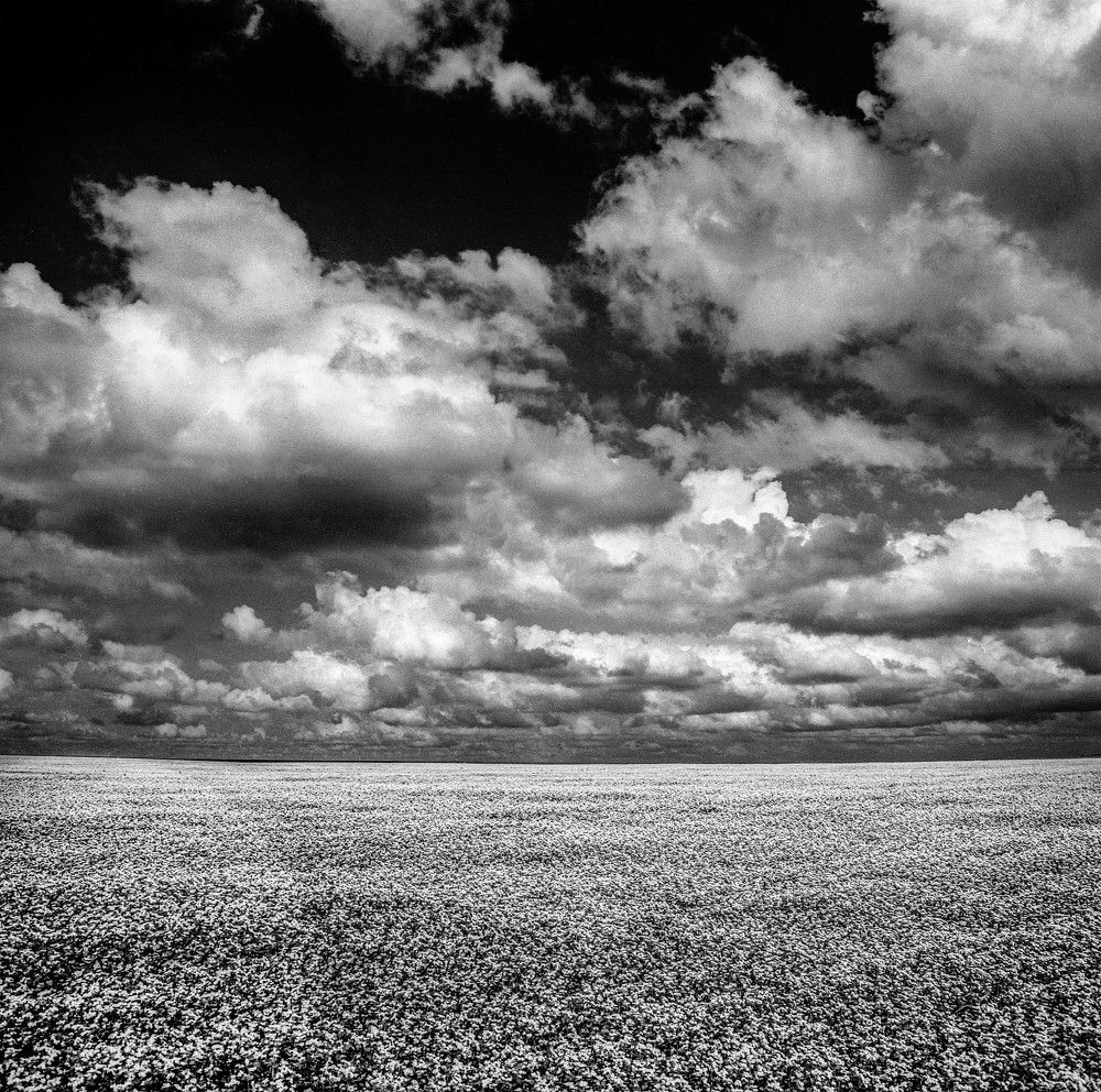 Photograph by Назаров Александр