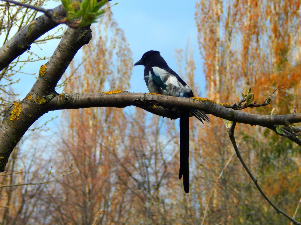 Photograph by Анастасия Моисеева