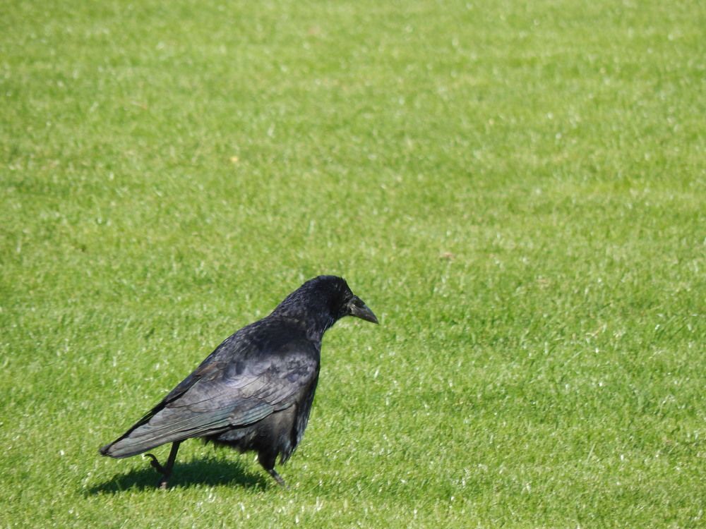 Photograph by Анастасия Моисеева