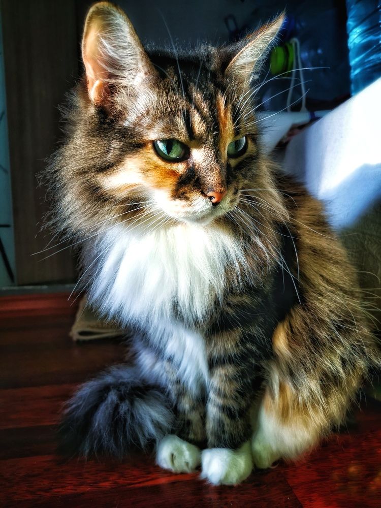 Photograph by Елена Артёменко