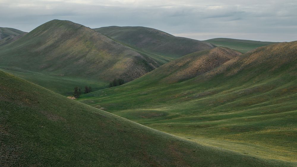 Долгие горы