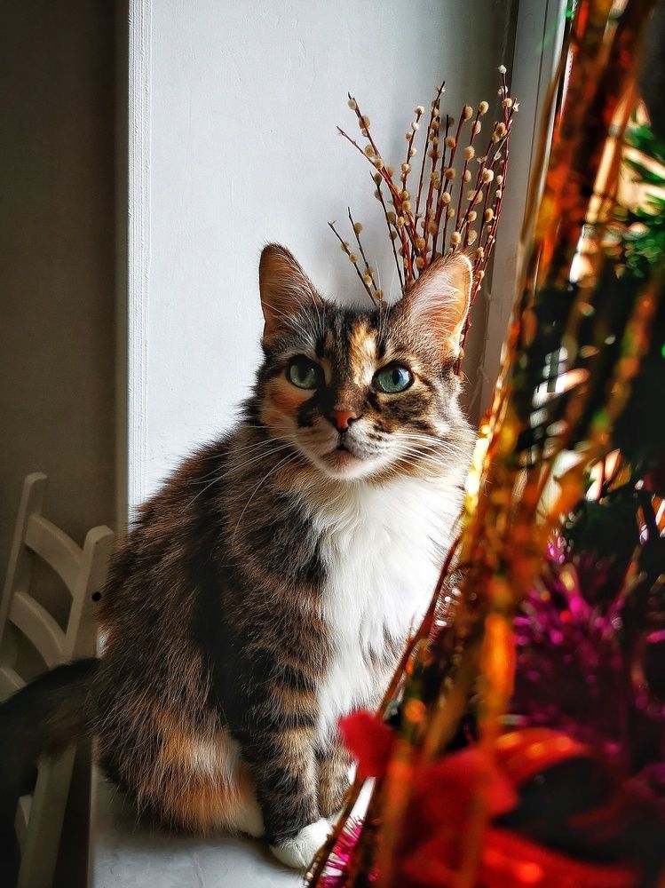 Photograph by Елена Артёменко