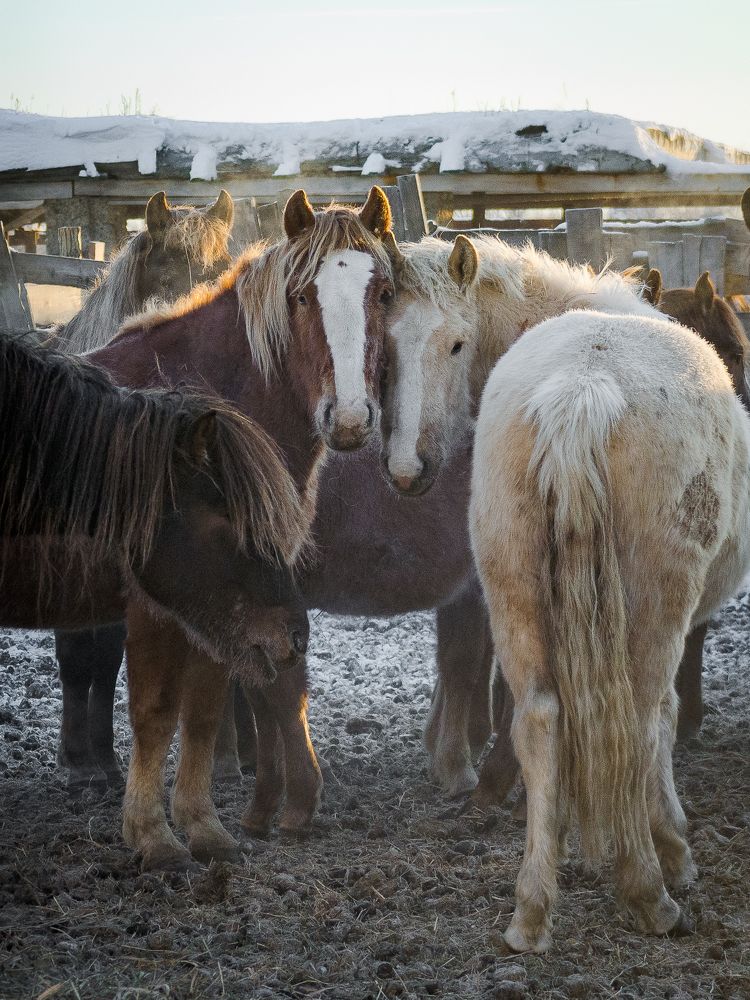 Photograph by Наталья Кокорина