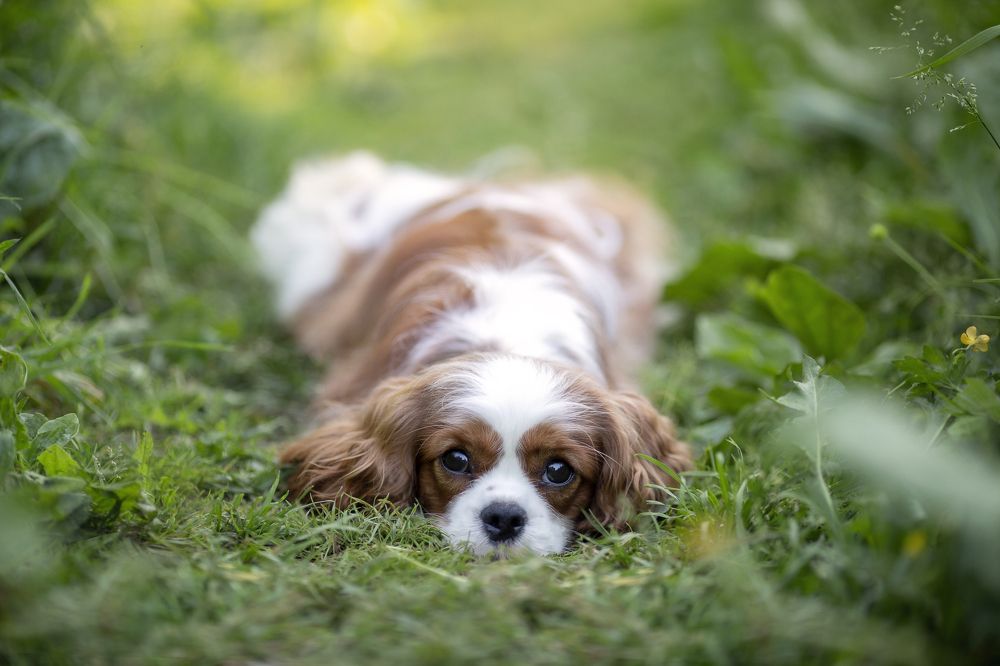 Photograph by Татьяна Кауфман