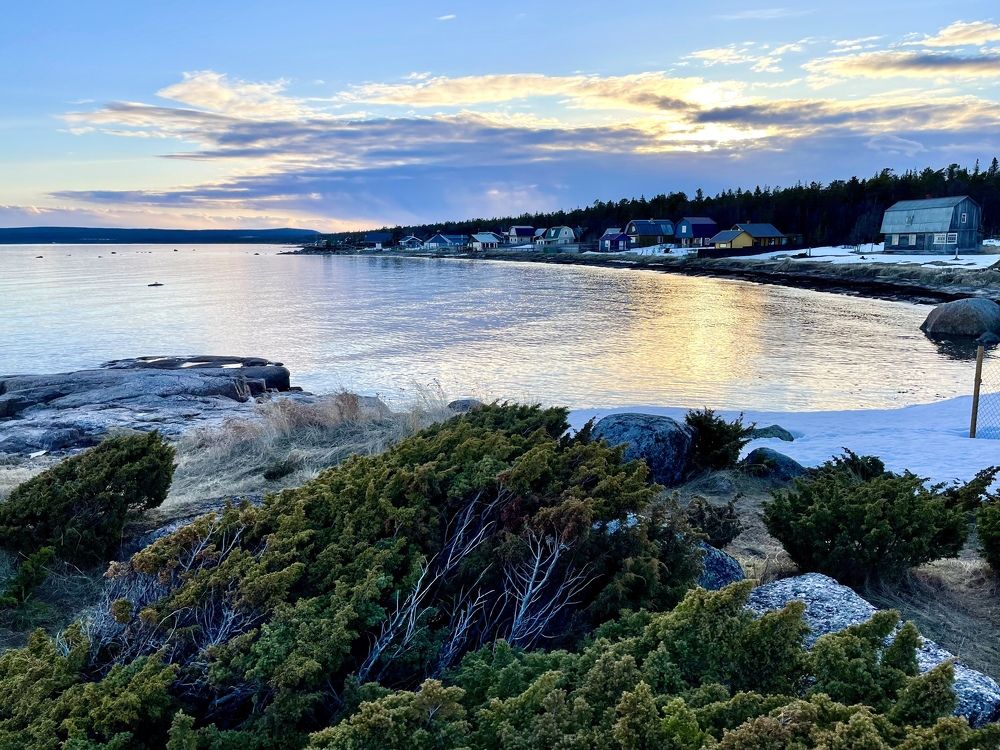 Фотография автора Юлия Шумейко