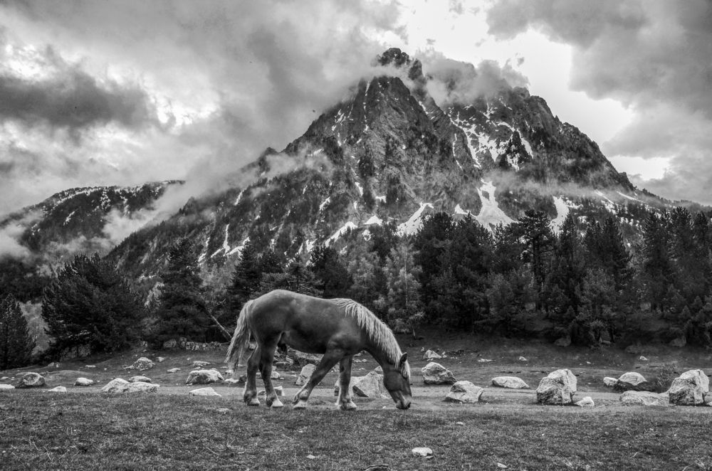 Photograph by Shuki Laufer