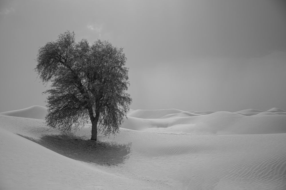 Photograph by Adrian Titus