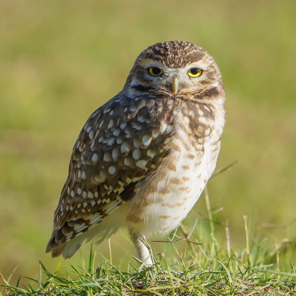 Photograph by Karina Elena Bergagna