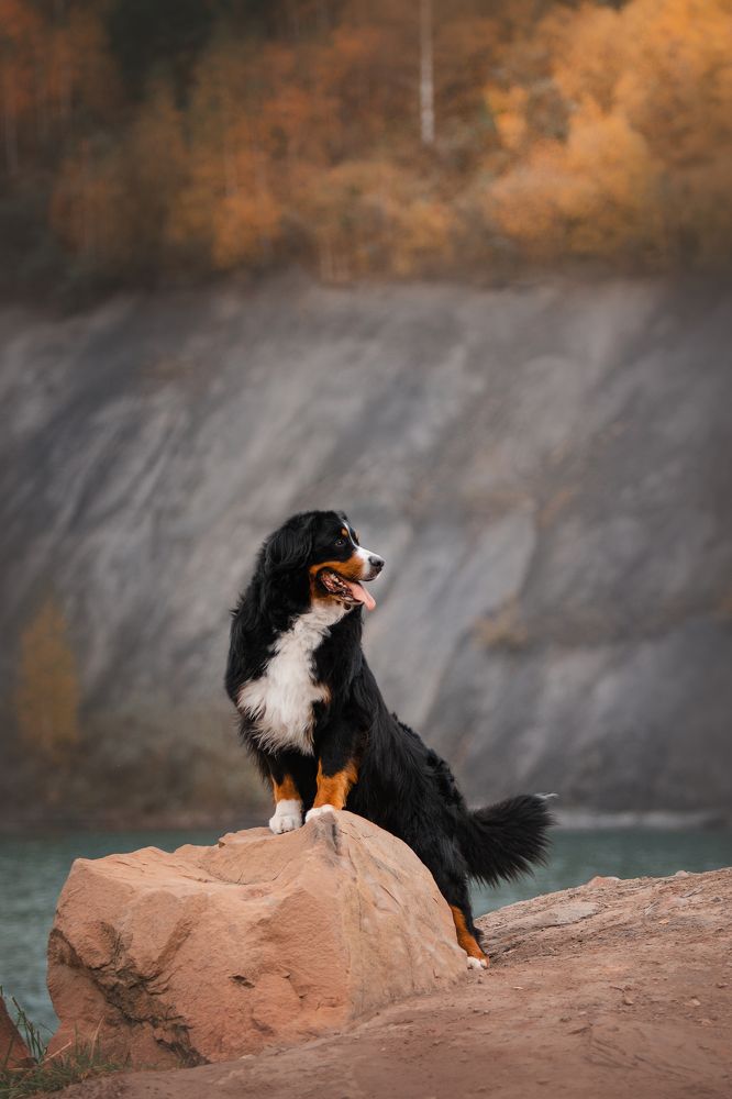 Photograph by Anna Zhidkova