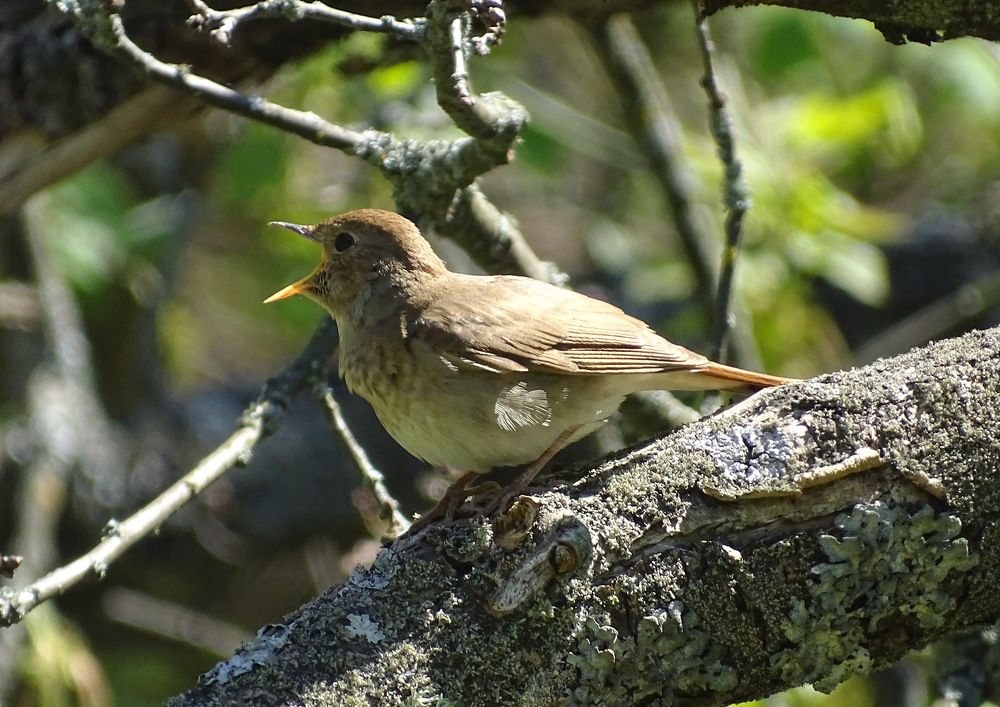 Photograph by Татьяна Калугина