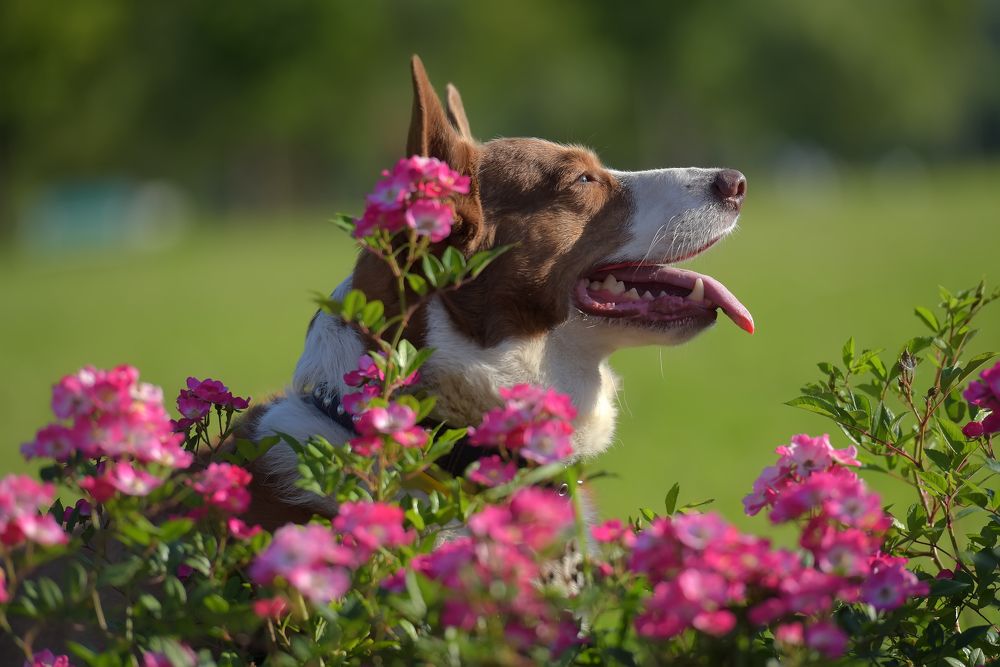 Photograph by Анна Кривицкая