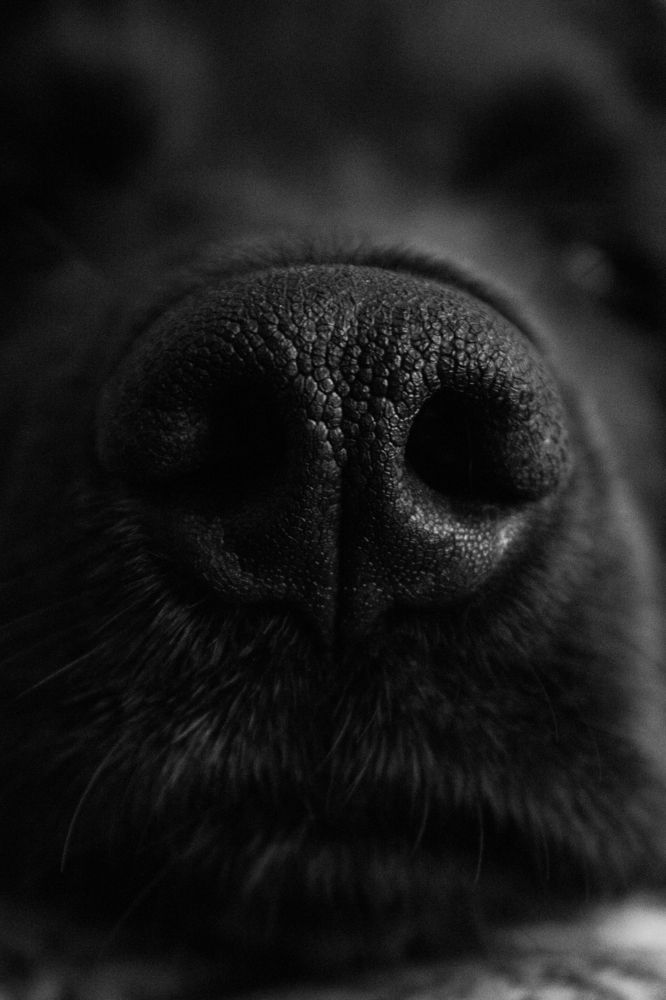 Photograph by Anna Dubinina