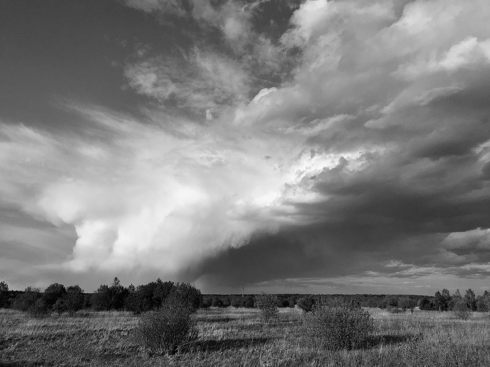 Photograph by Михаил Некрасов