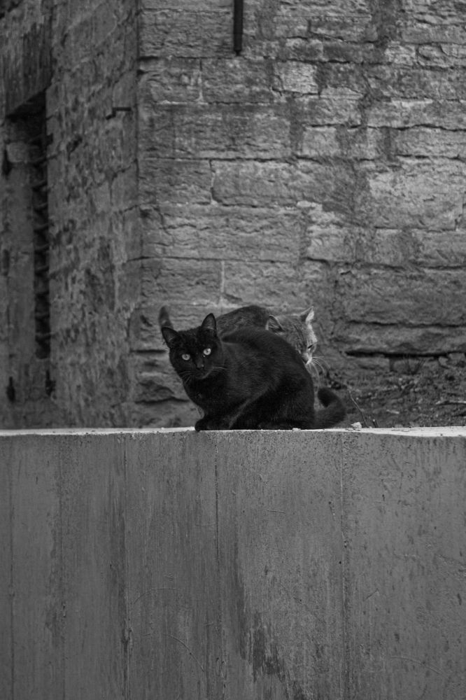 Photograph by Anna Dubinina