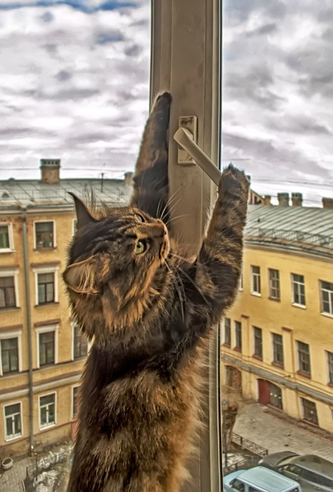 Photograph by Любовь Ключева