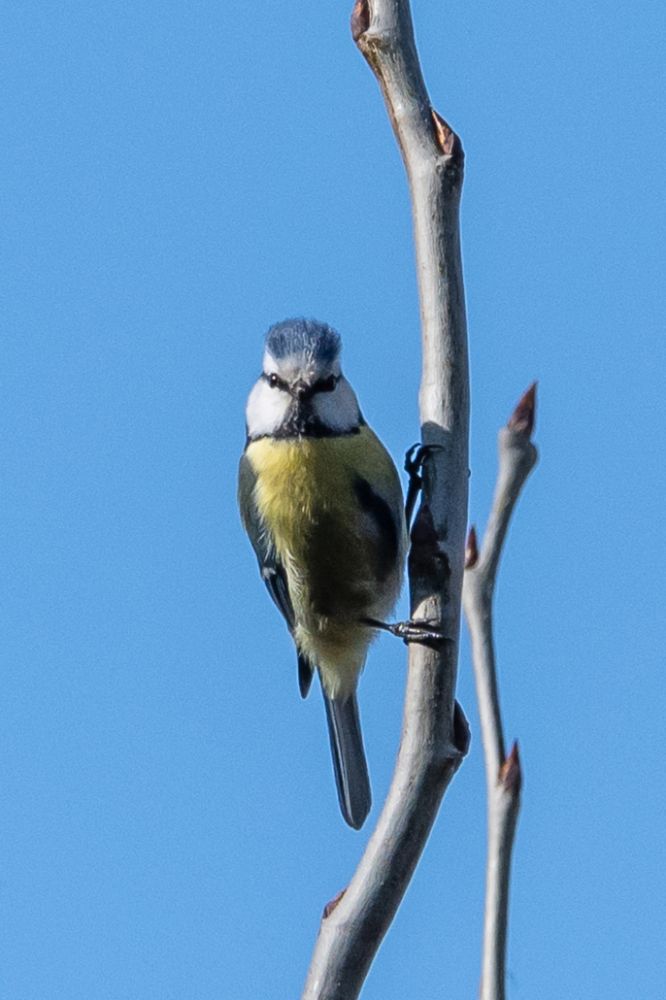 Photograph by Александр Щербаков