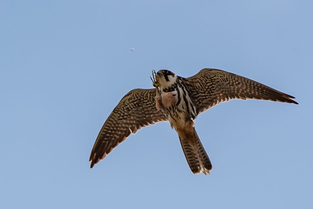 Photograph by Александр Щербаков