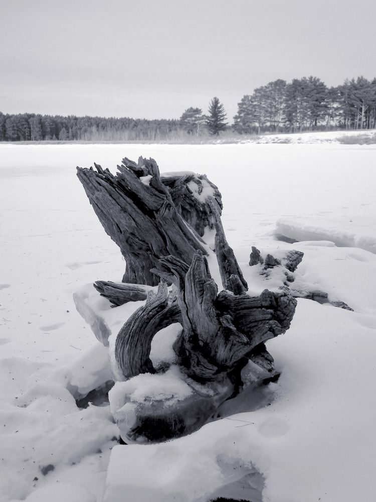 Photograph by Анна Ермилова
