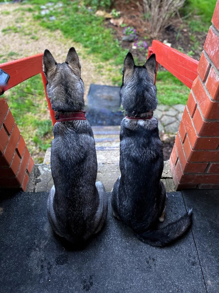 Photograph by Елена Одынец