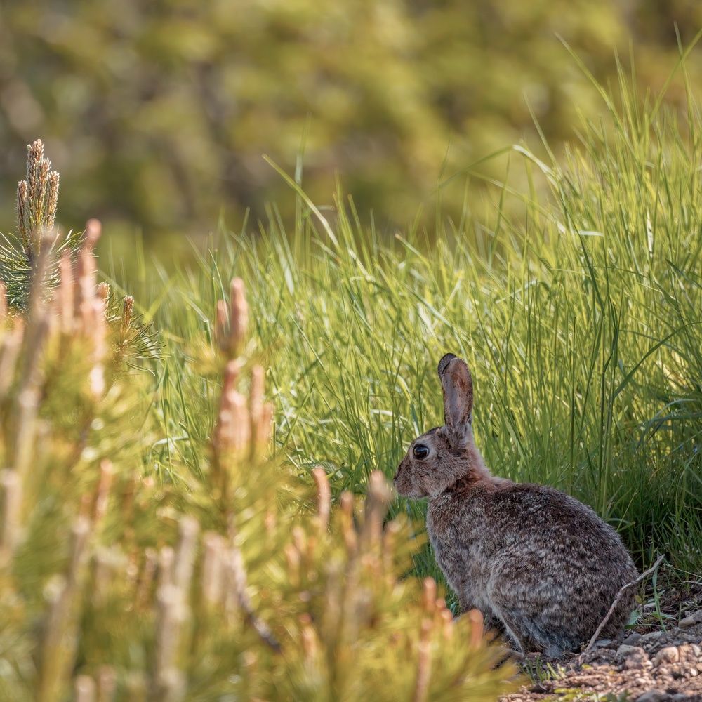Фотография автора Slawa Rodionow