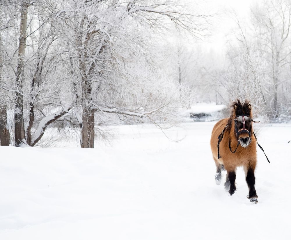 Photograph by дамир