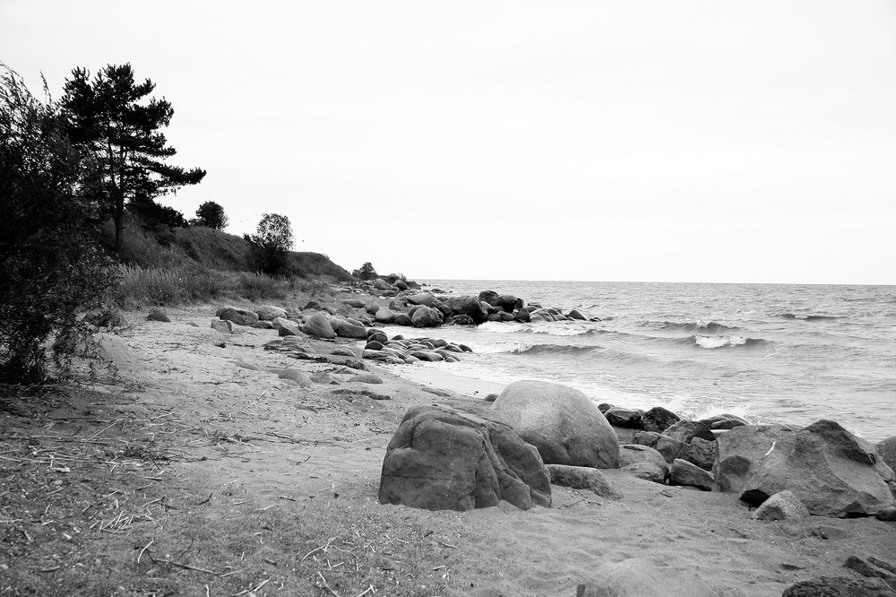 Фотография автора Надежда Лисицына