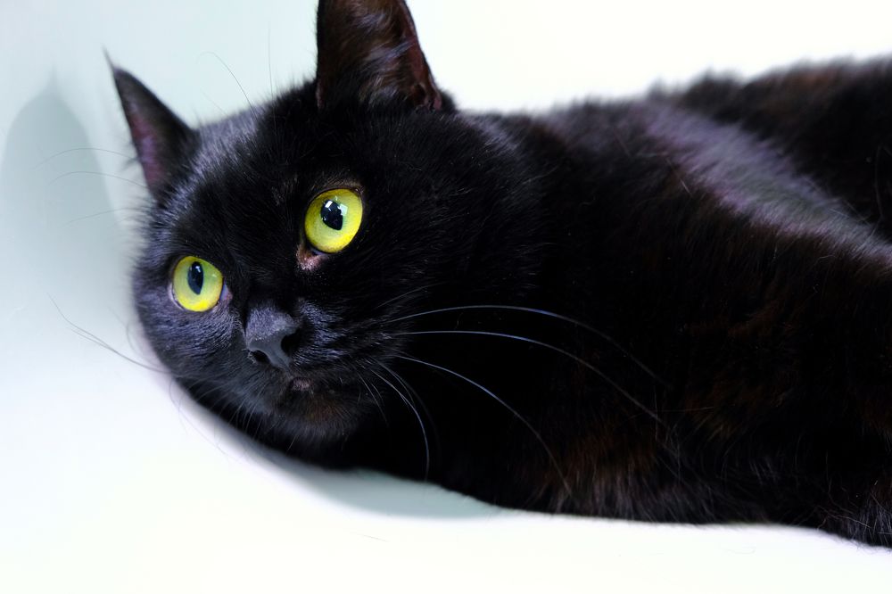 Photograph by Евгений Шершнёв