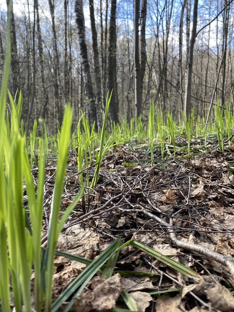 Photograph by Екатерина Сусенкова