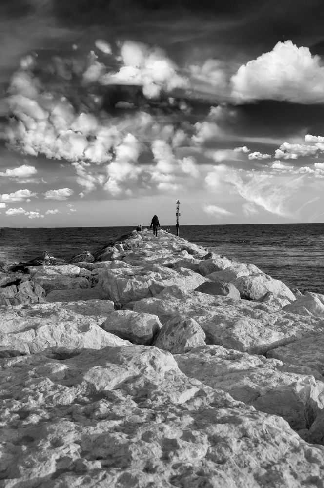 Photograph by Purple sunshine