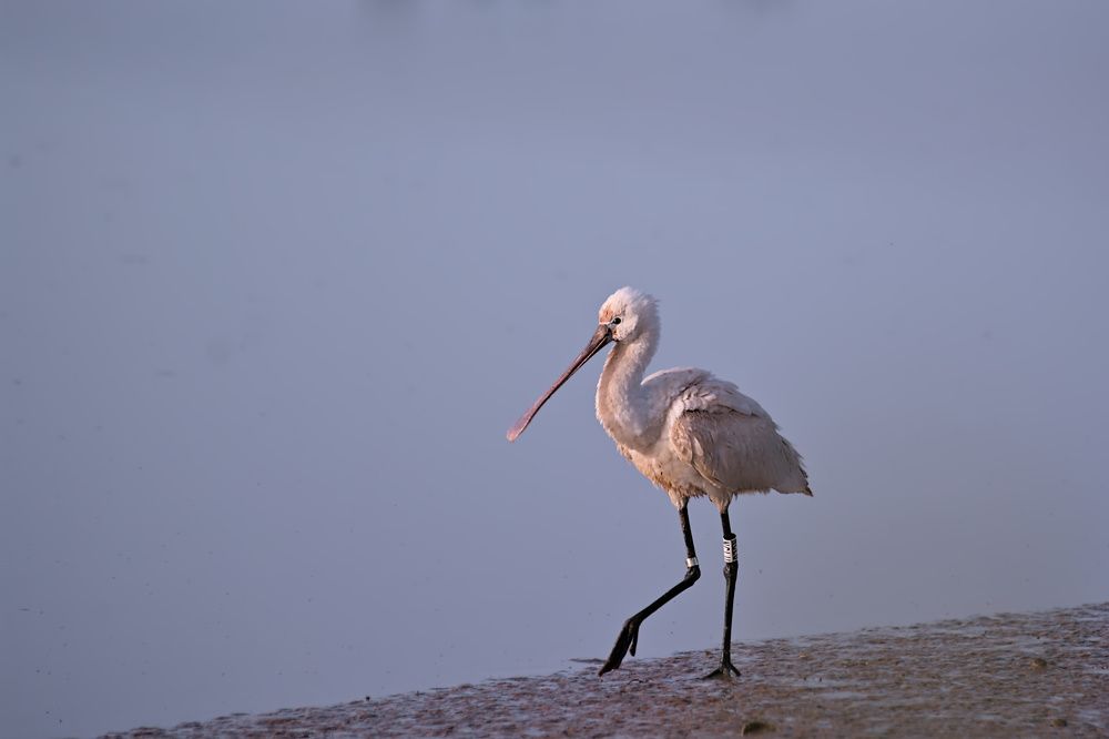 Photograph by Moulay Ahmed KASSI