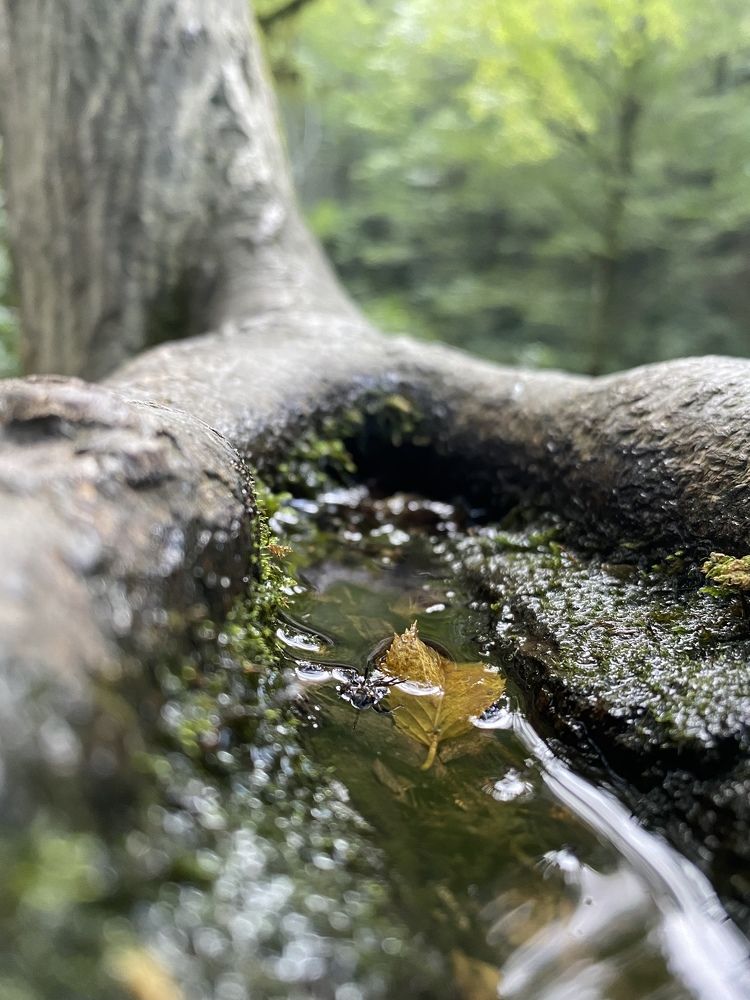 Фотография автора Алексей