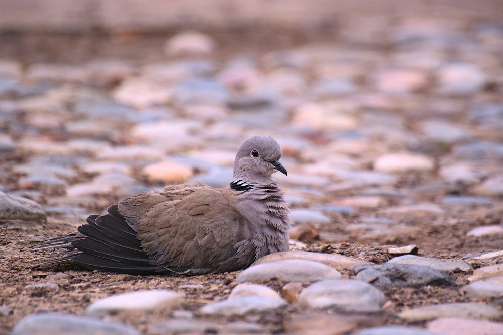 Photograph by Moulay Ahmed KASSI