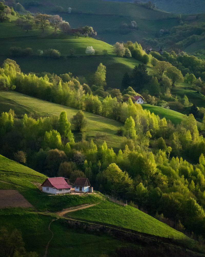 Photograph by Ana-Maria Tatarus