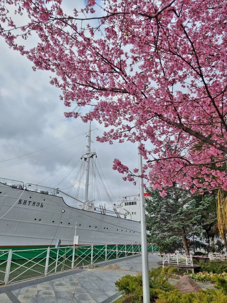 Photograph by Ирина Дубицкая