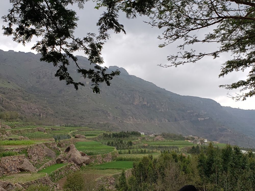 Photograph by نورا الغيثي