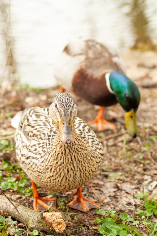 Photograph by Анастасия