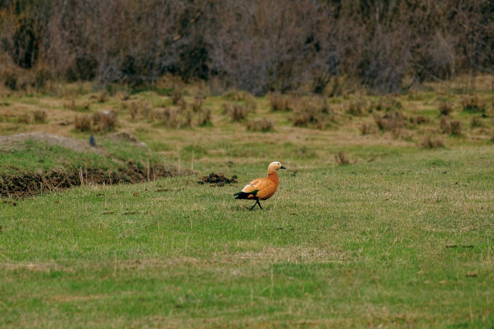 Photograph by Евгений Соколов