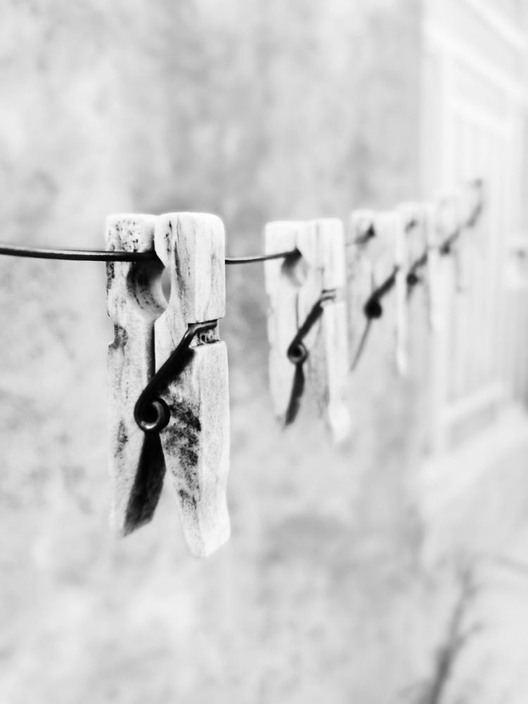 Photograph by mohammad hoseininezhad